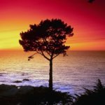 Read more about the article Μια θάλασσα μικρή