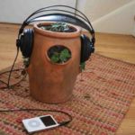 Read more about the article Η μουσική επηρεάζει την ανάπτυξη των φυτών;