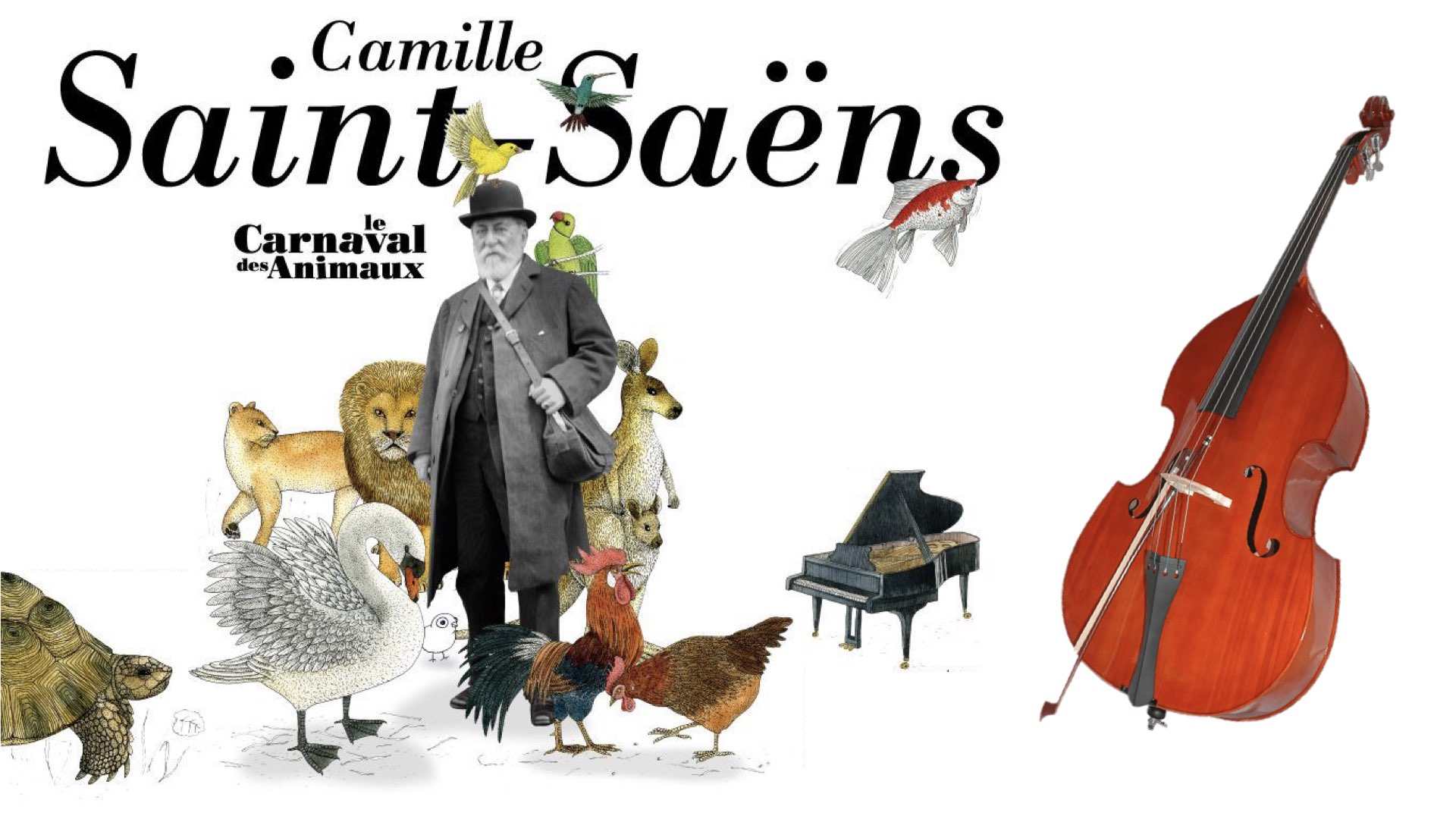 You are currently viewing Οδηγός Ακρόασης – Saint Saens – Carnival of the Animals